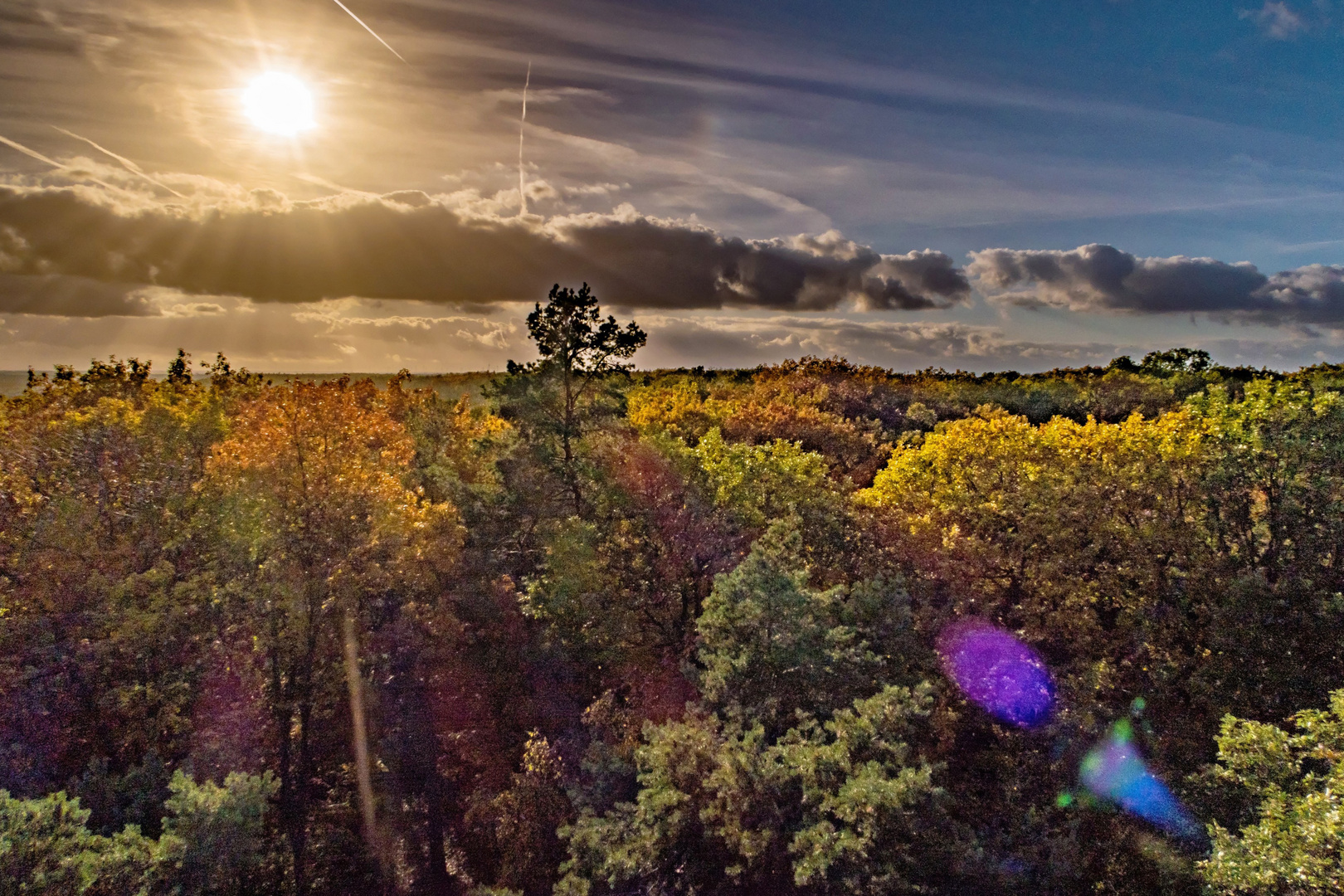 Herbstsonne