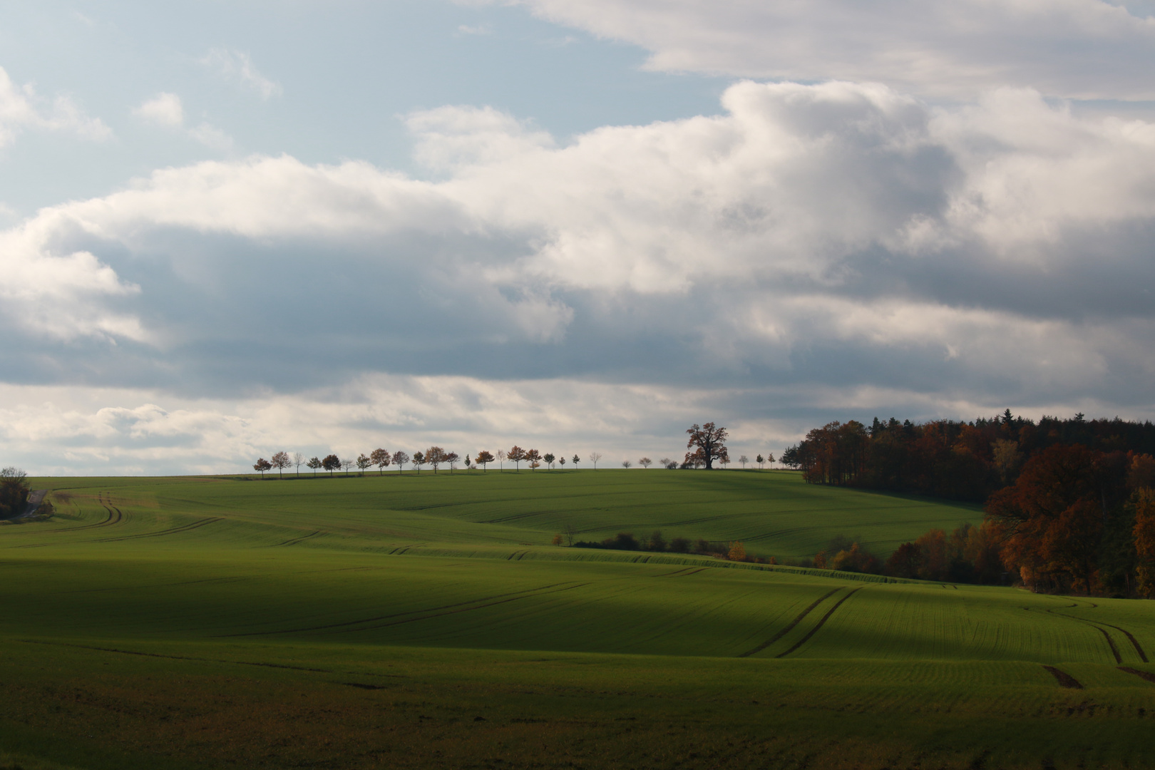 Herbstsonne