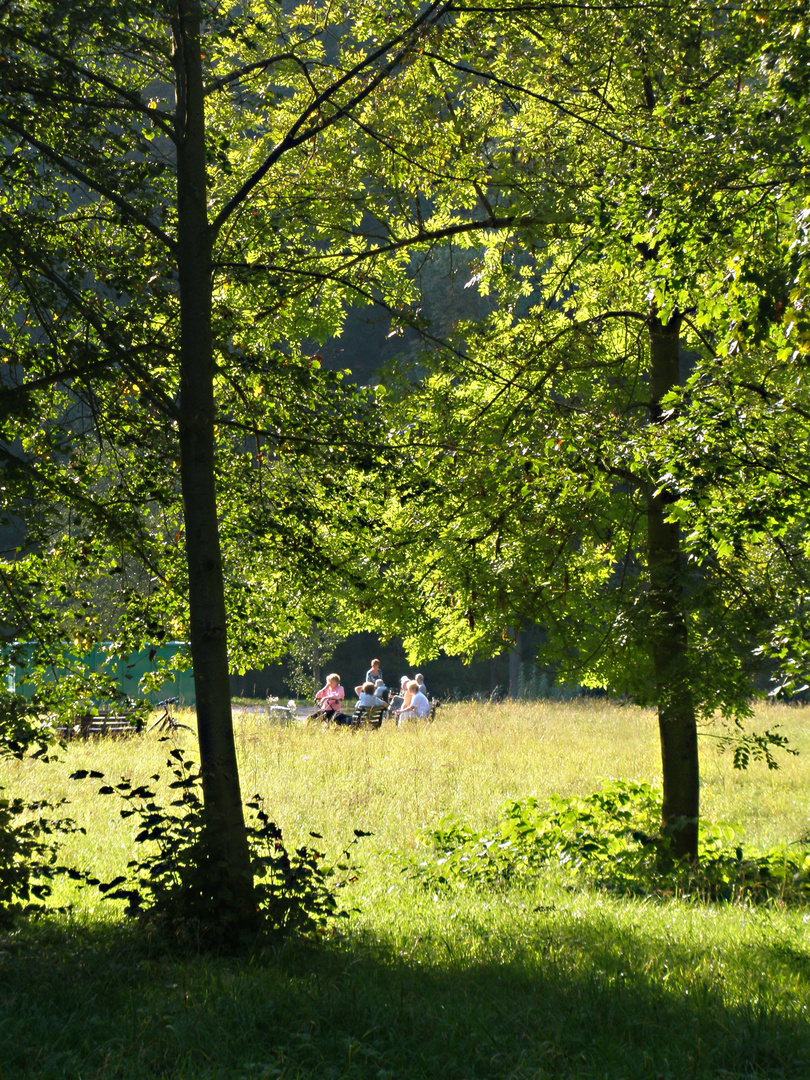 Herbstsonne