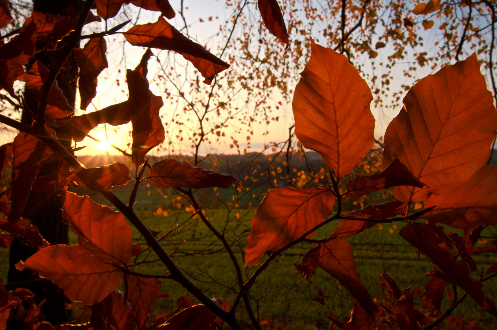 Herbstsonne