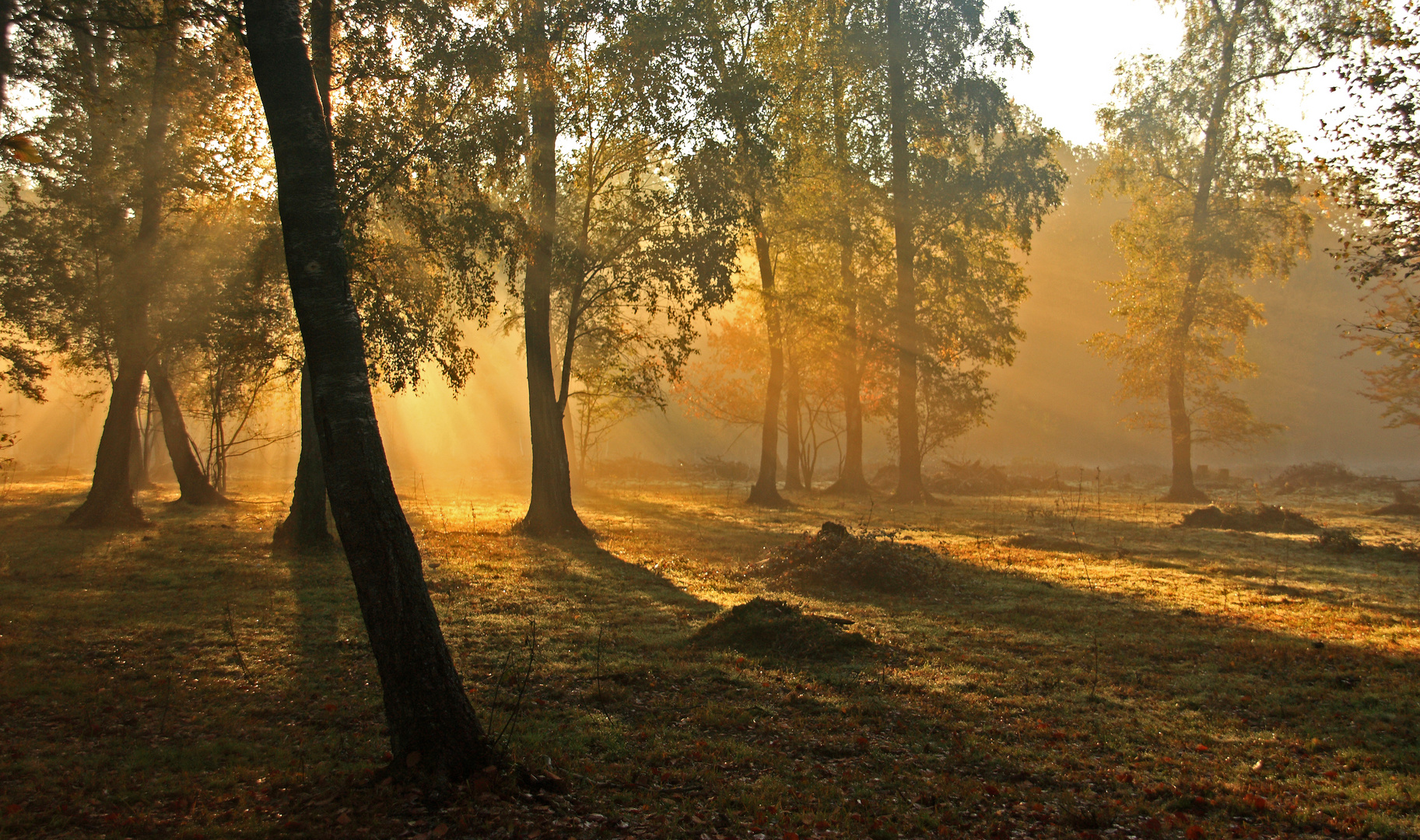 Herbstsonne