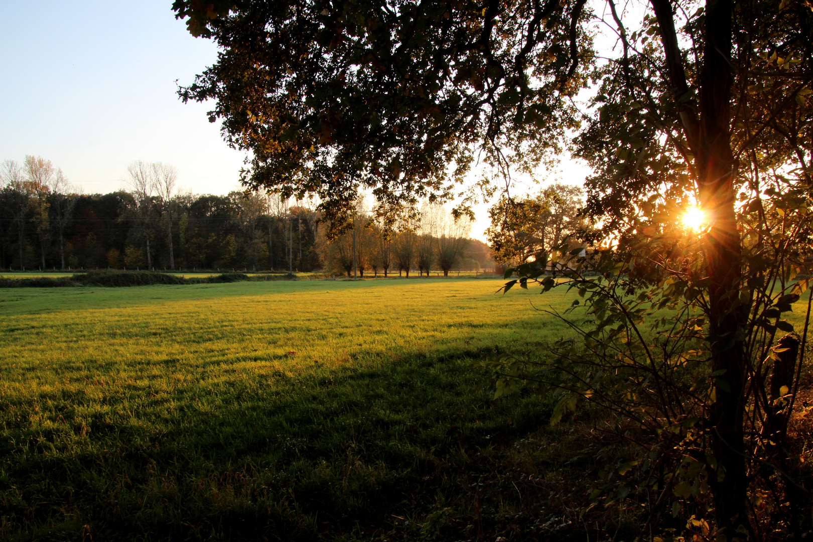 Herbstsonne