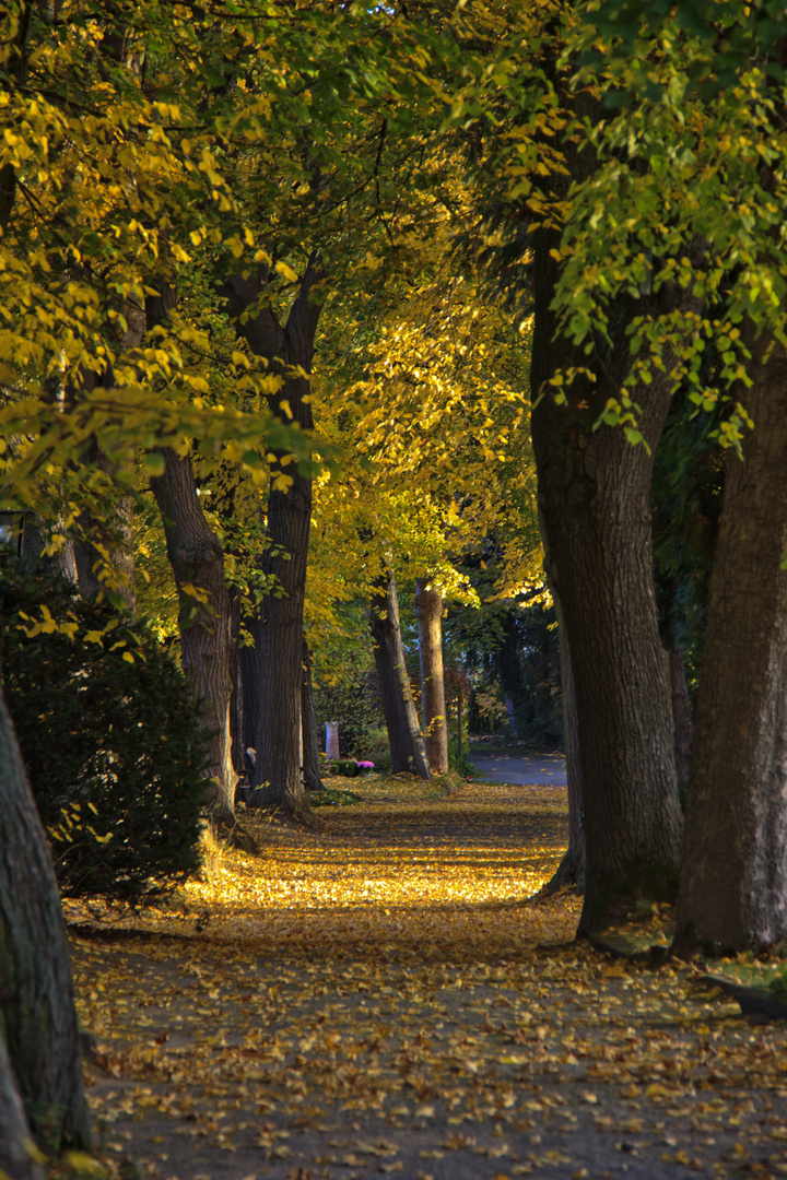 Herbstsonne