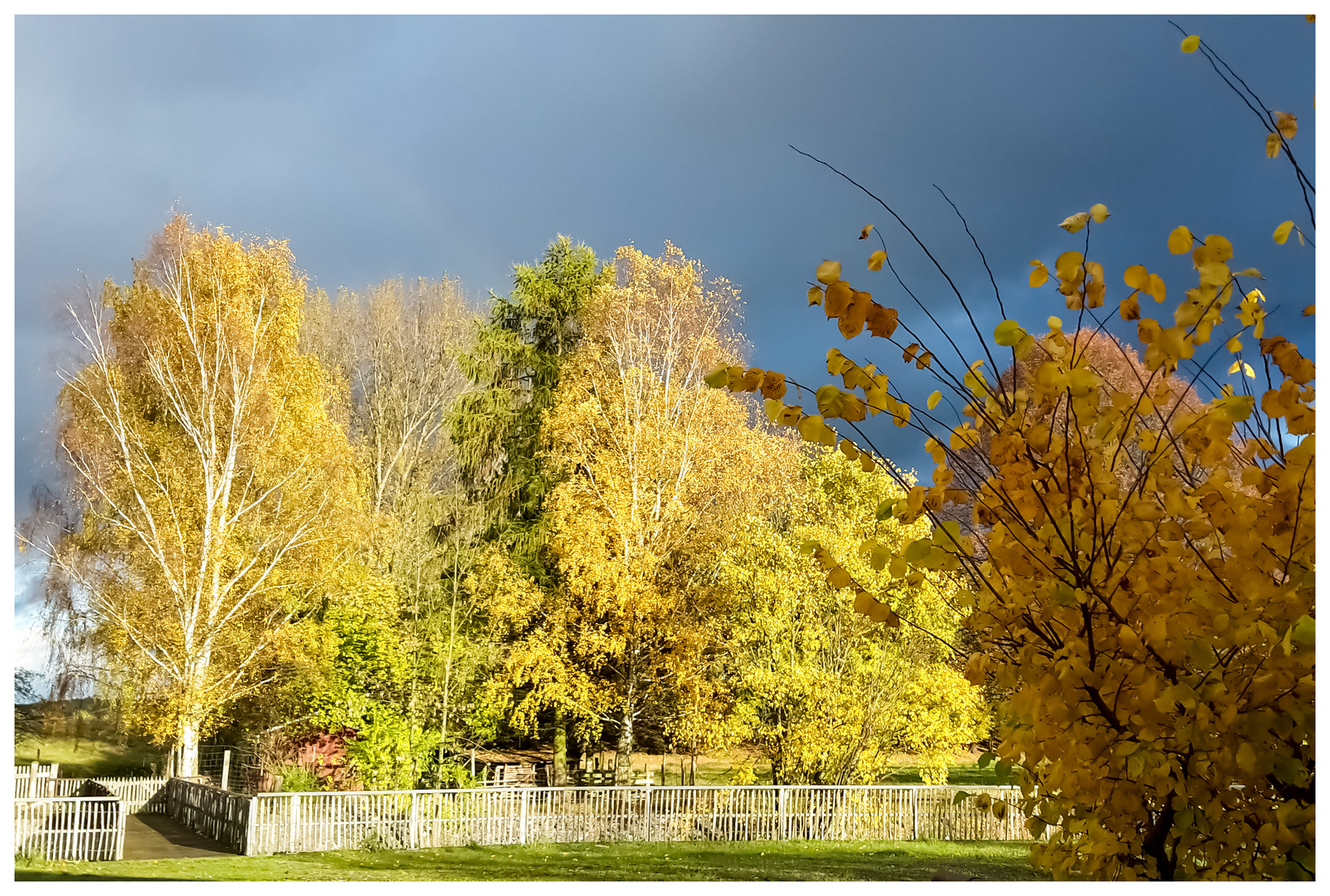 Herbstsonne