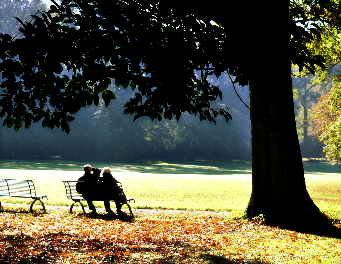 Herbstsonne