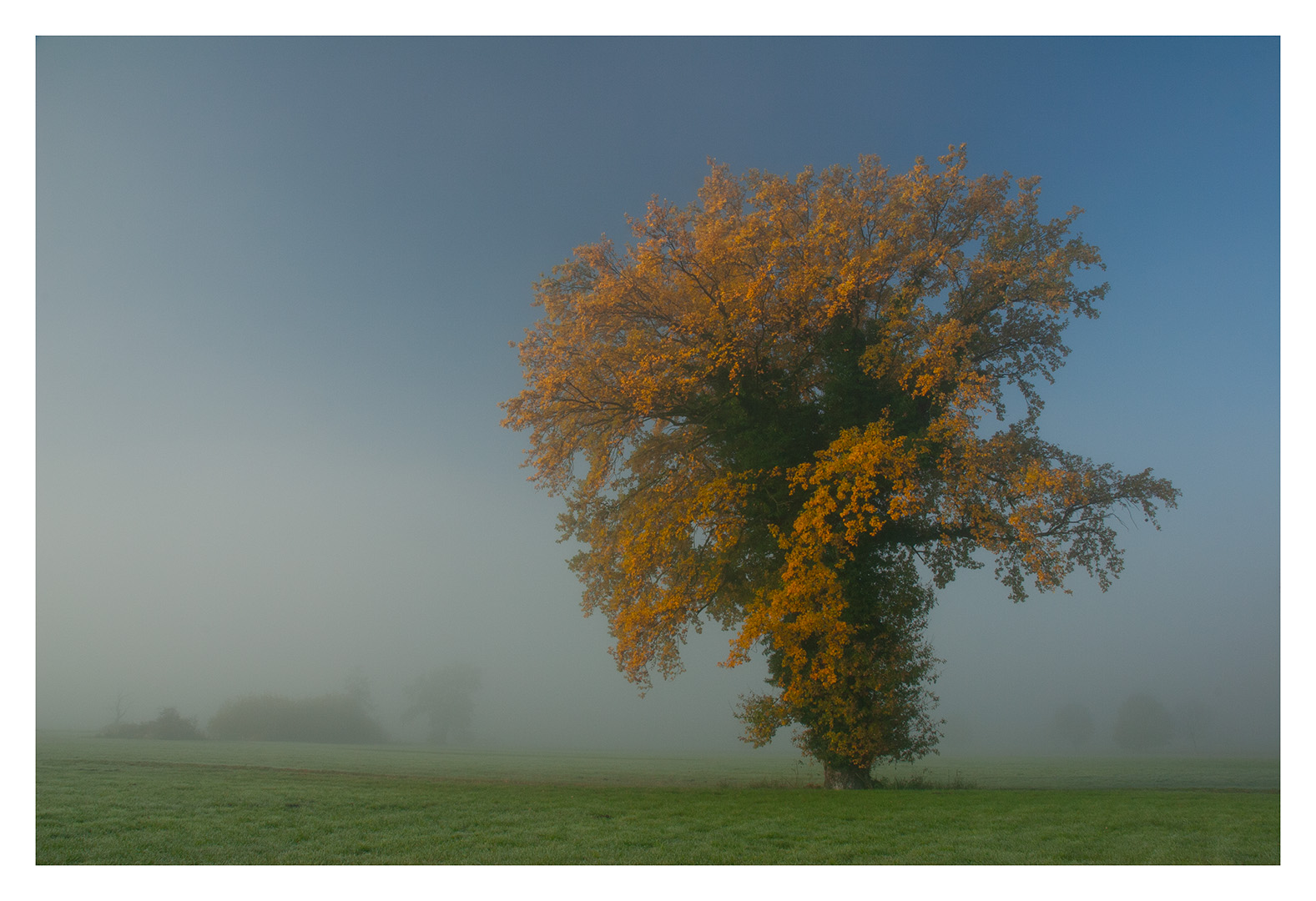 Herbstsonne 