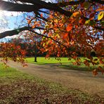 Herbstsonne