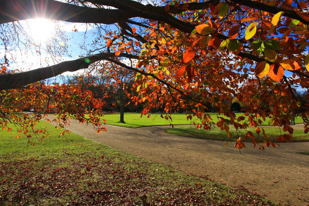 Herbstsonne