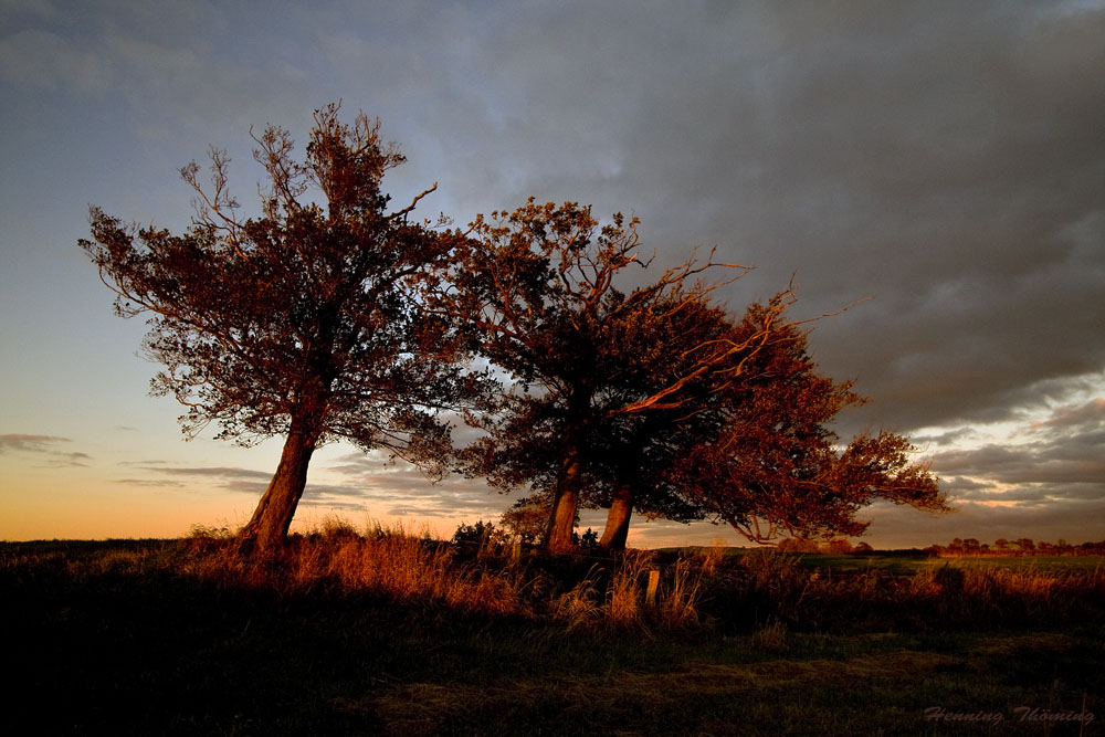 Herbstsonne