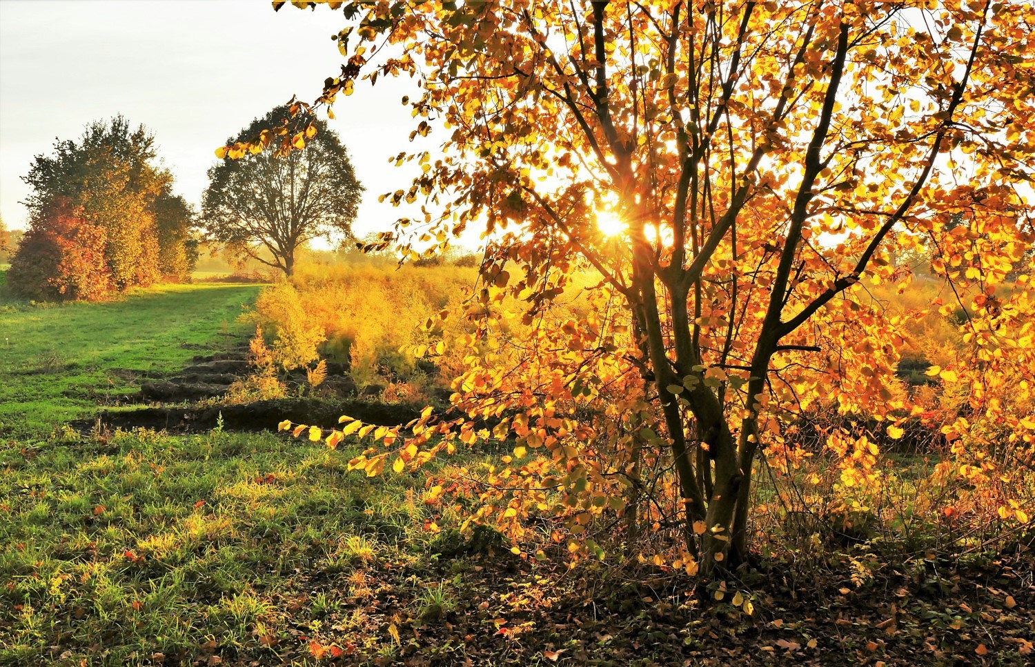 Herbstsonne