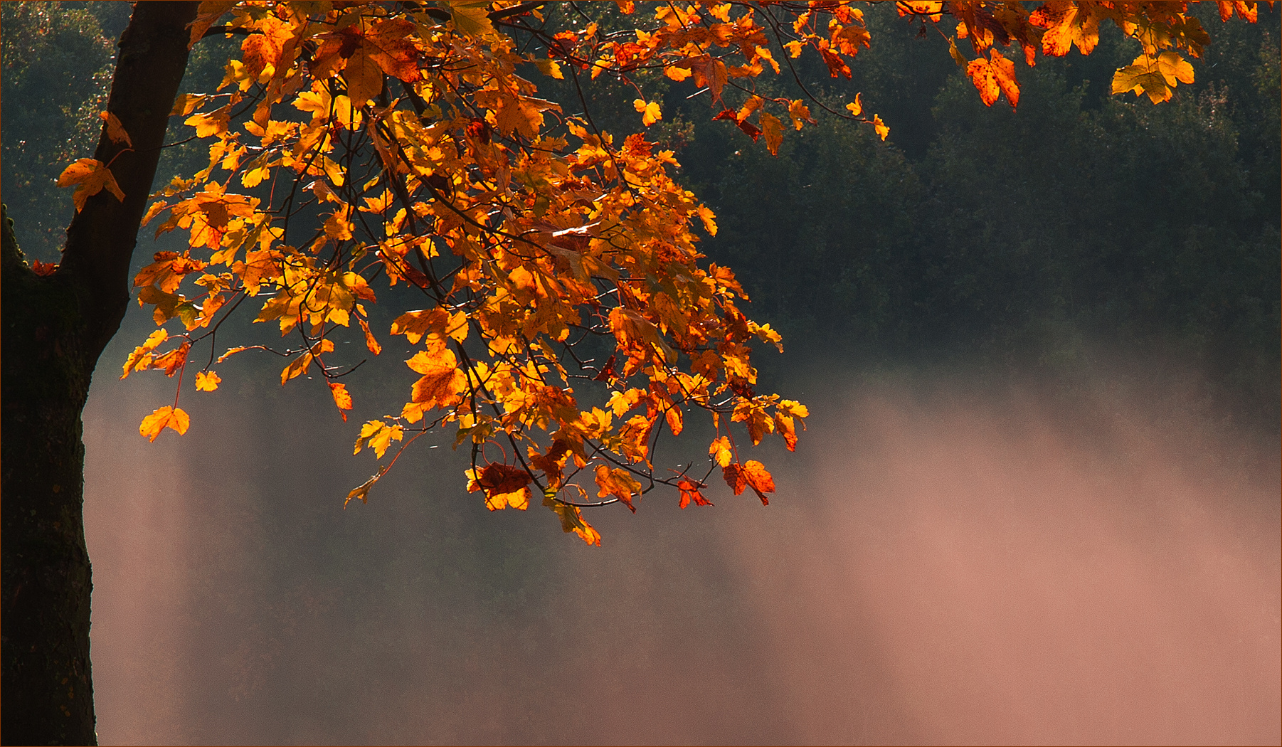 Herbstsonne