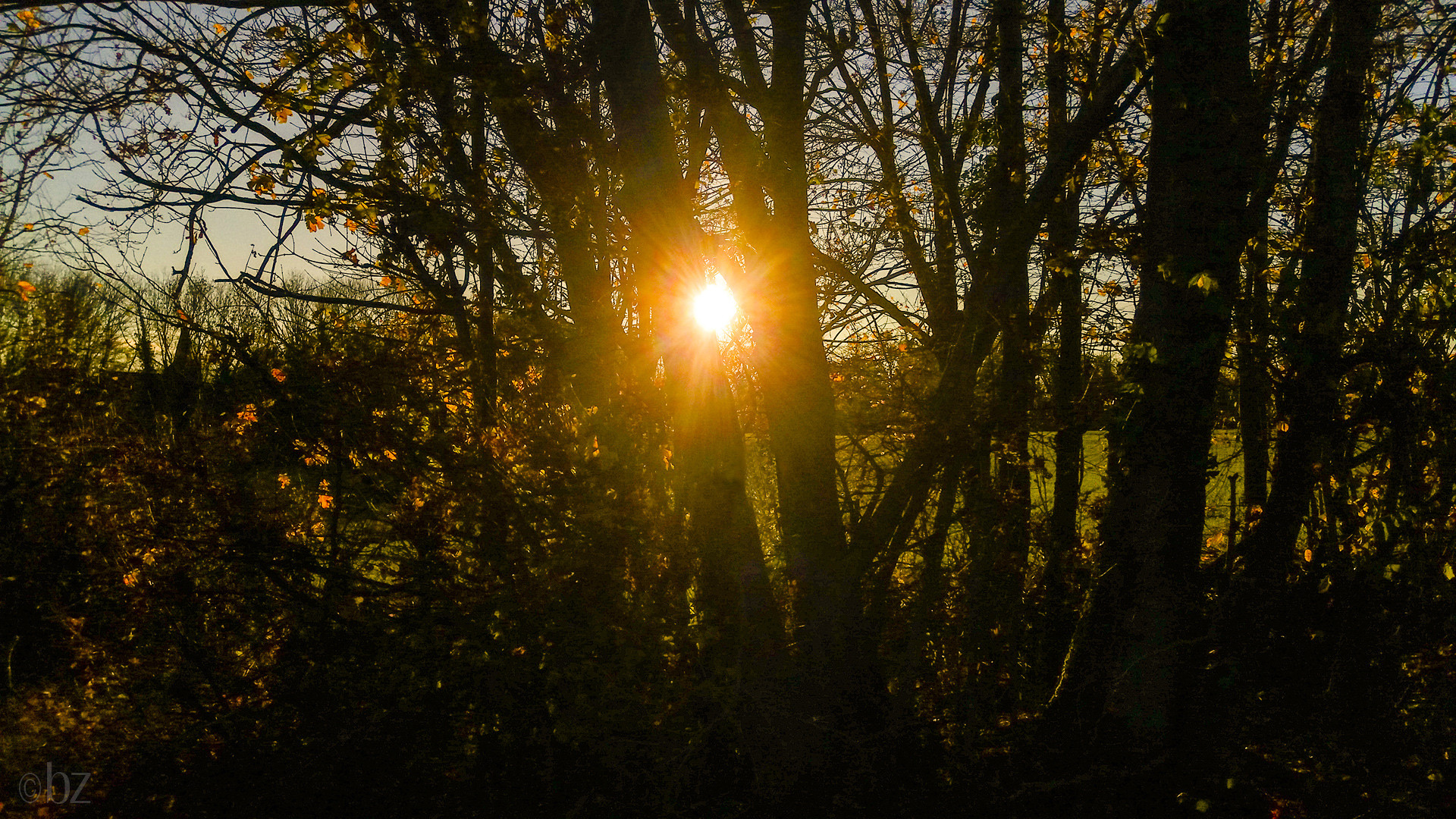 Herbstsonne