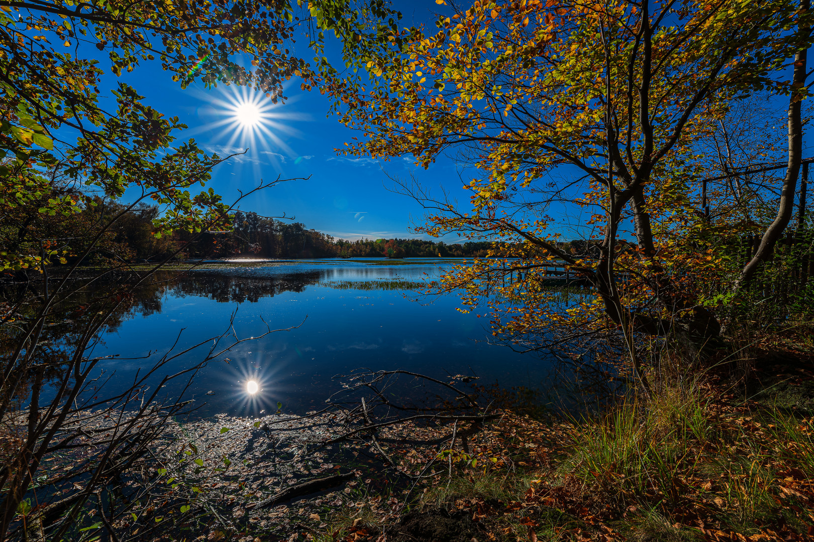 Herbstsonne