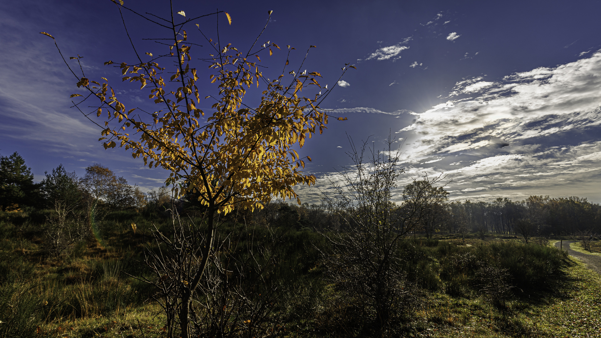 herbstsonne