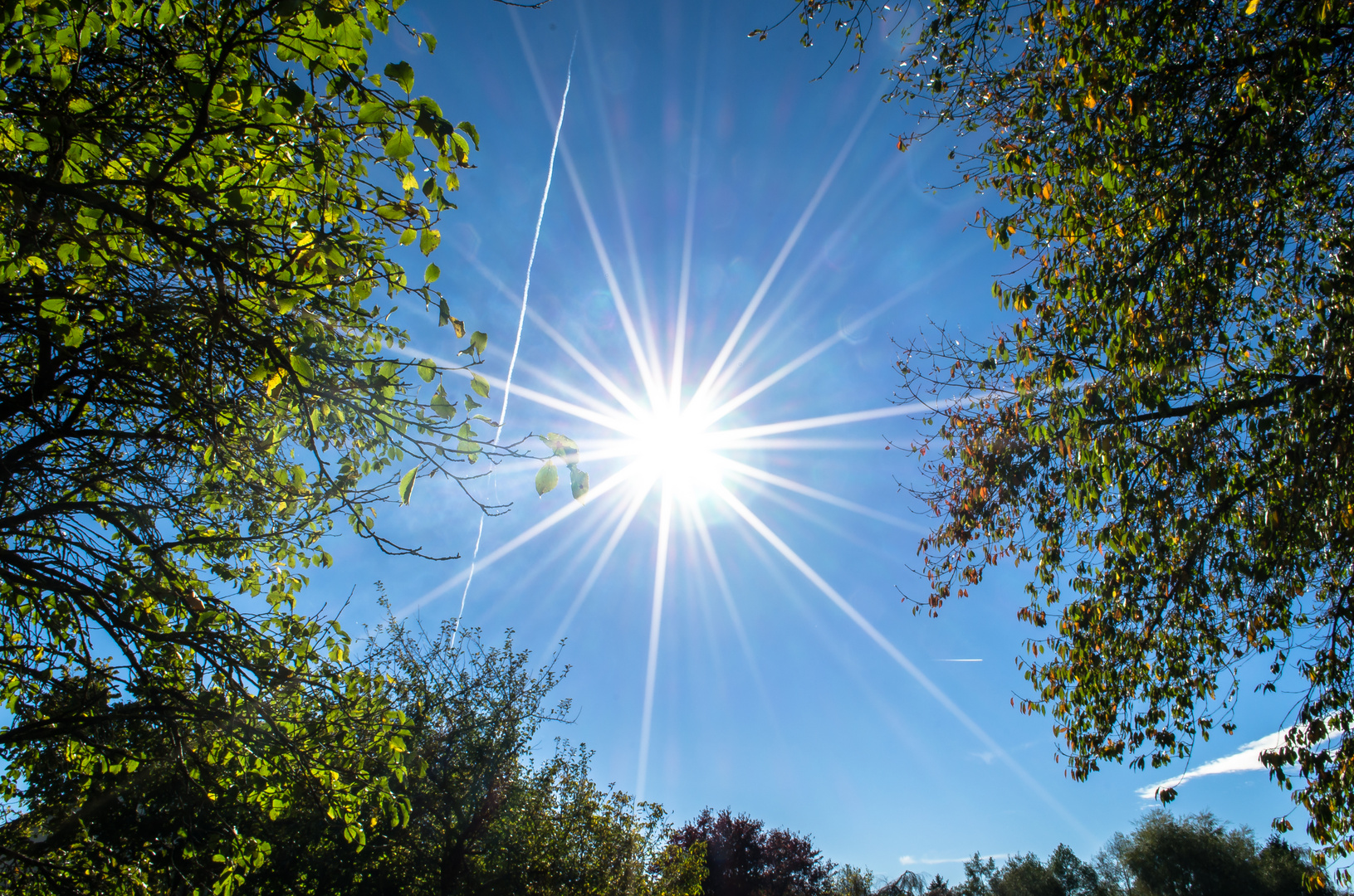 Herbstsonne