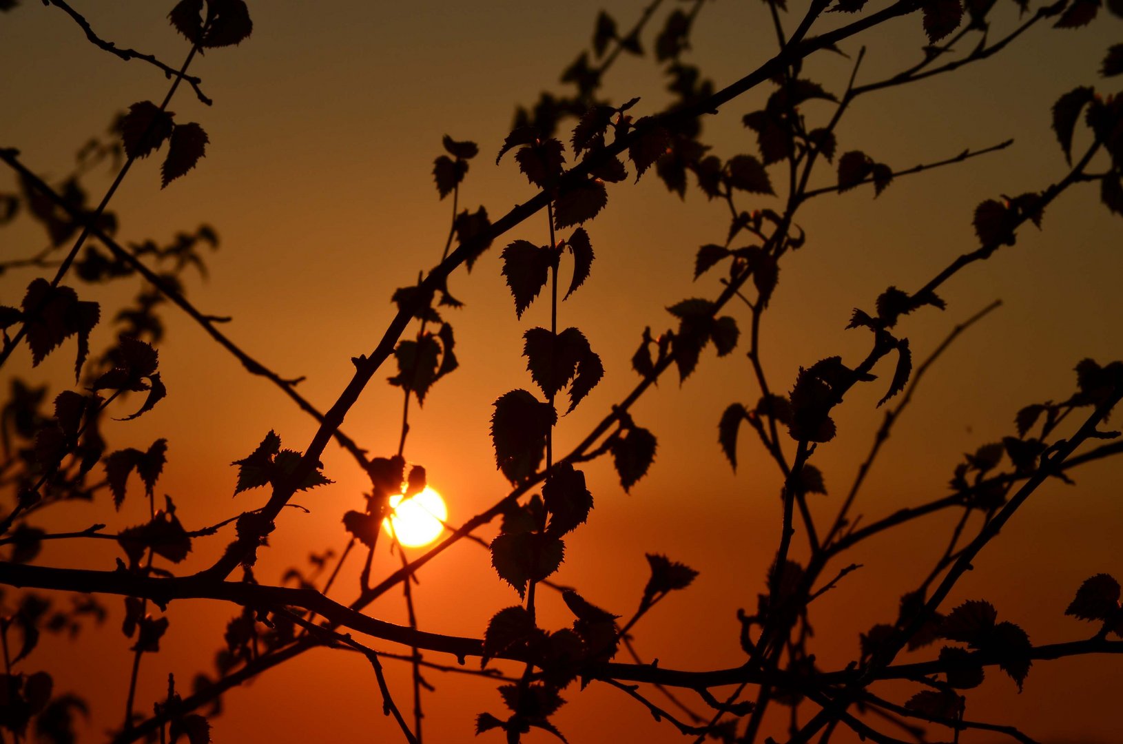 Herbstsonne