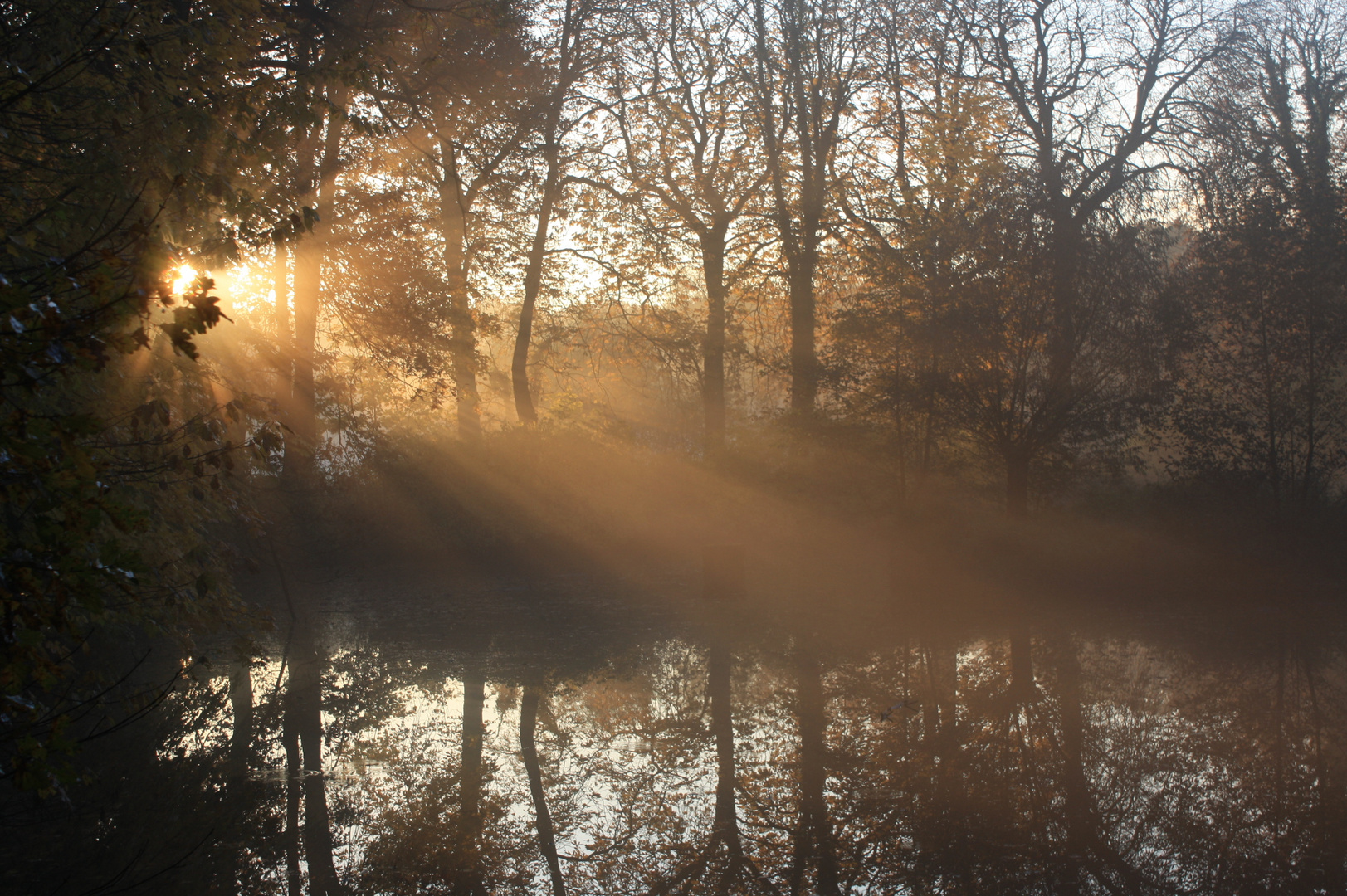 Herbstsonne