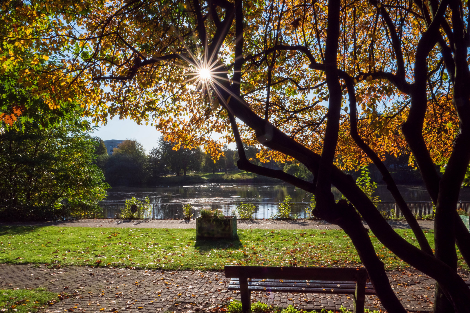 Herbstsonne