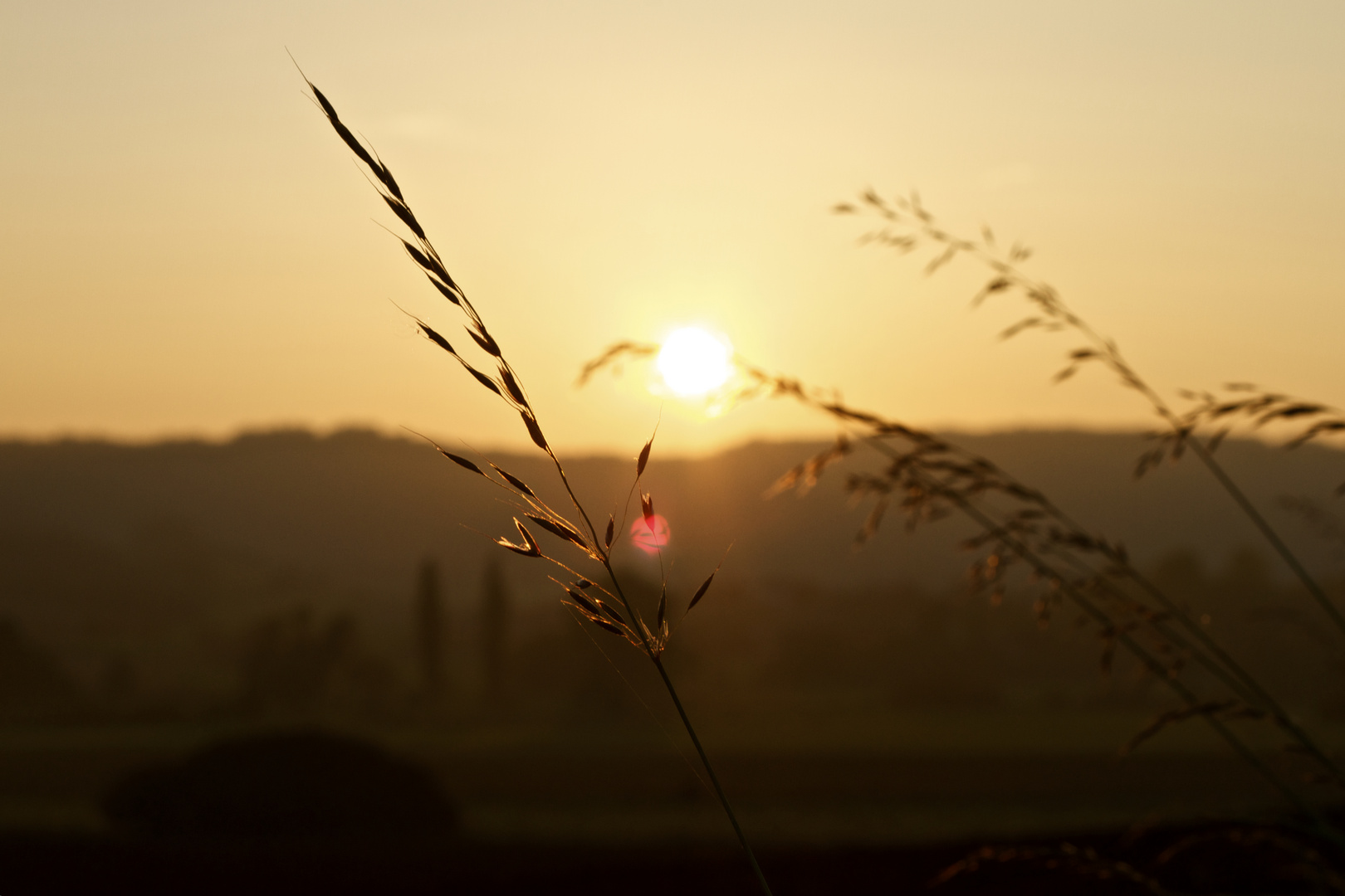 Herbstsonne