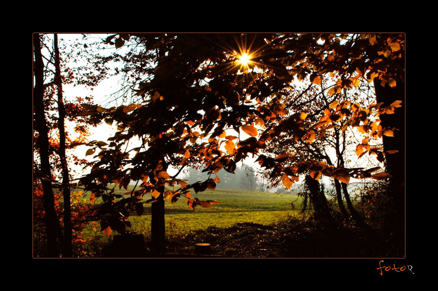 Herbstsonne