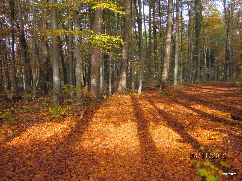 Herbstsonne