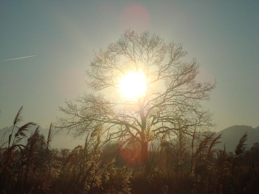 Herbstsonne