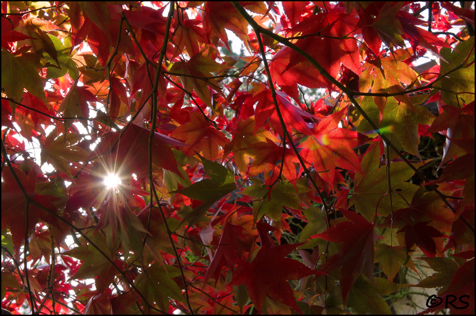 Herbstsonne