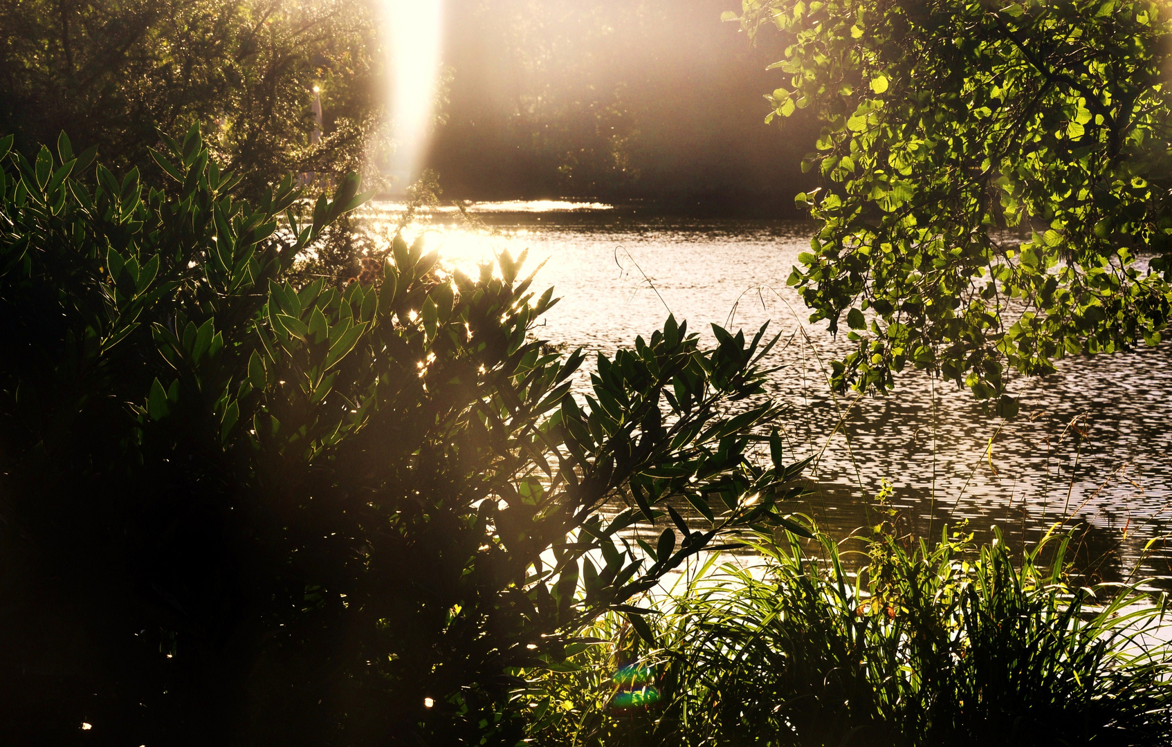 ....Herbstsonne....