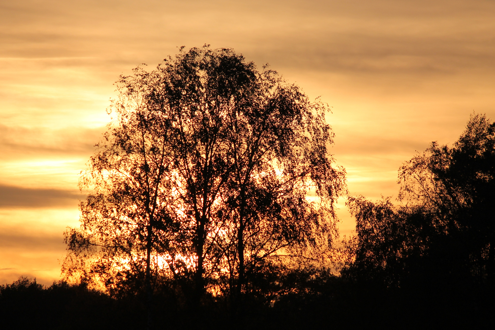 Herbstsonne