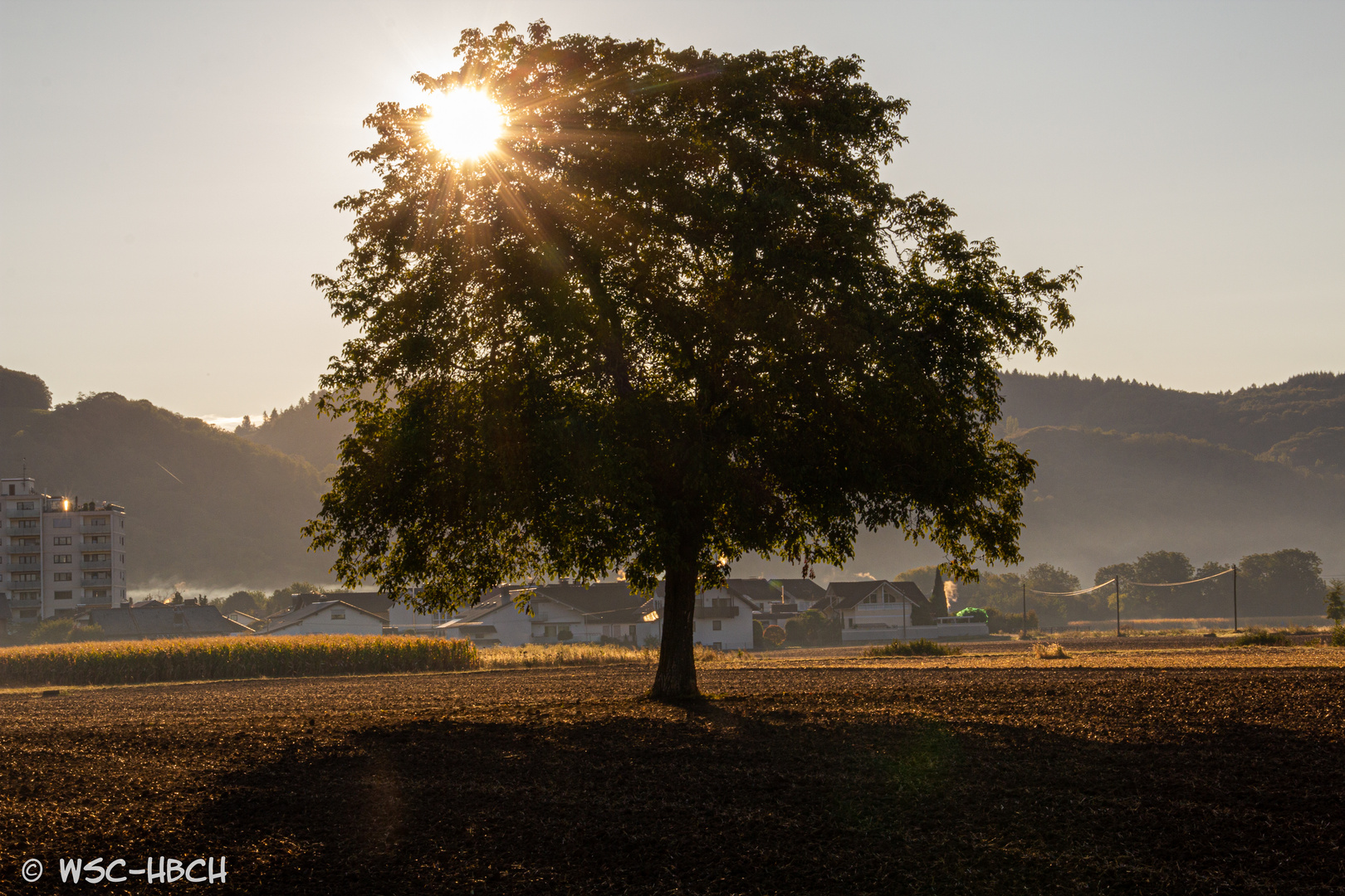 Herbstsonne