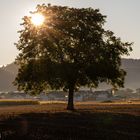 Herbstsonne