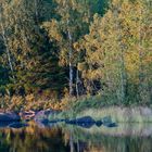 Herbstsonne am Abend - Schweden !