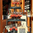 Herbstsonne am Fischmarkt in Köln