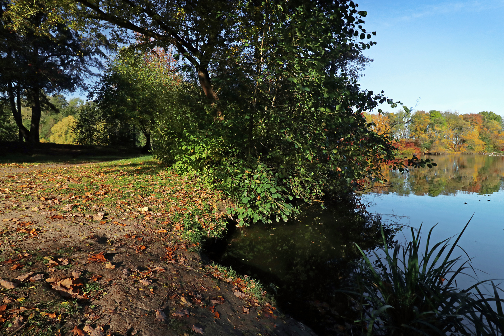 Herbstsonne am Fischteich