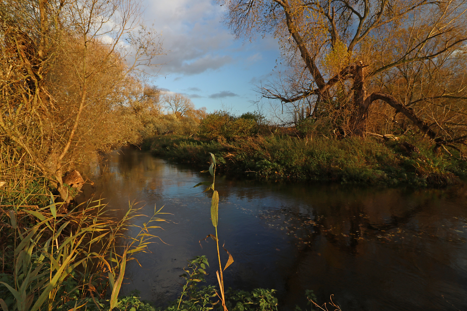 Herbstsonne am Flussufer