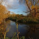 Herbstsonne am Flussufer