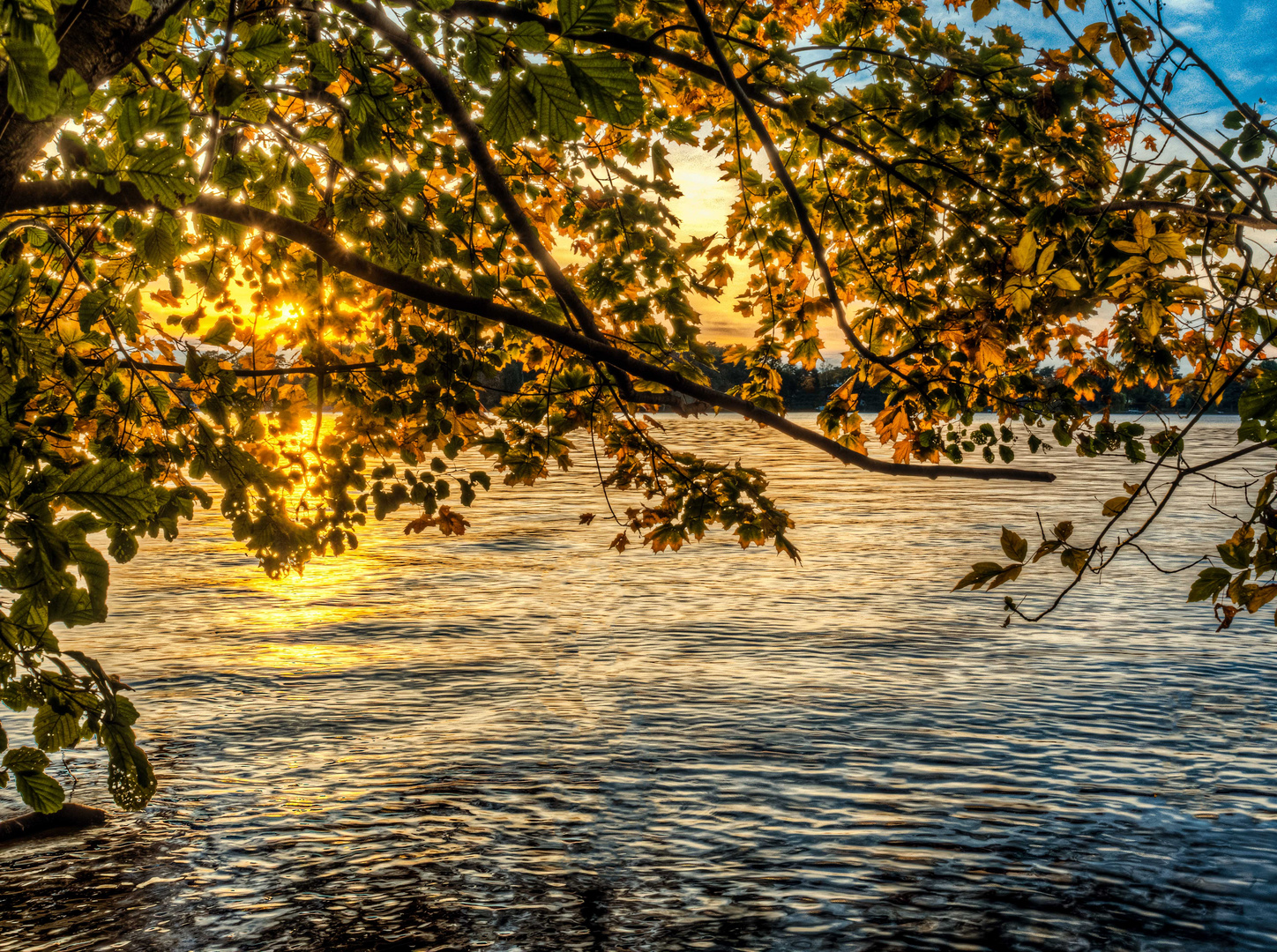 Herbstsonne am Langen See