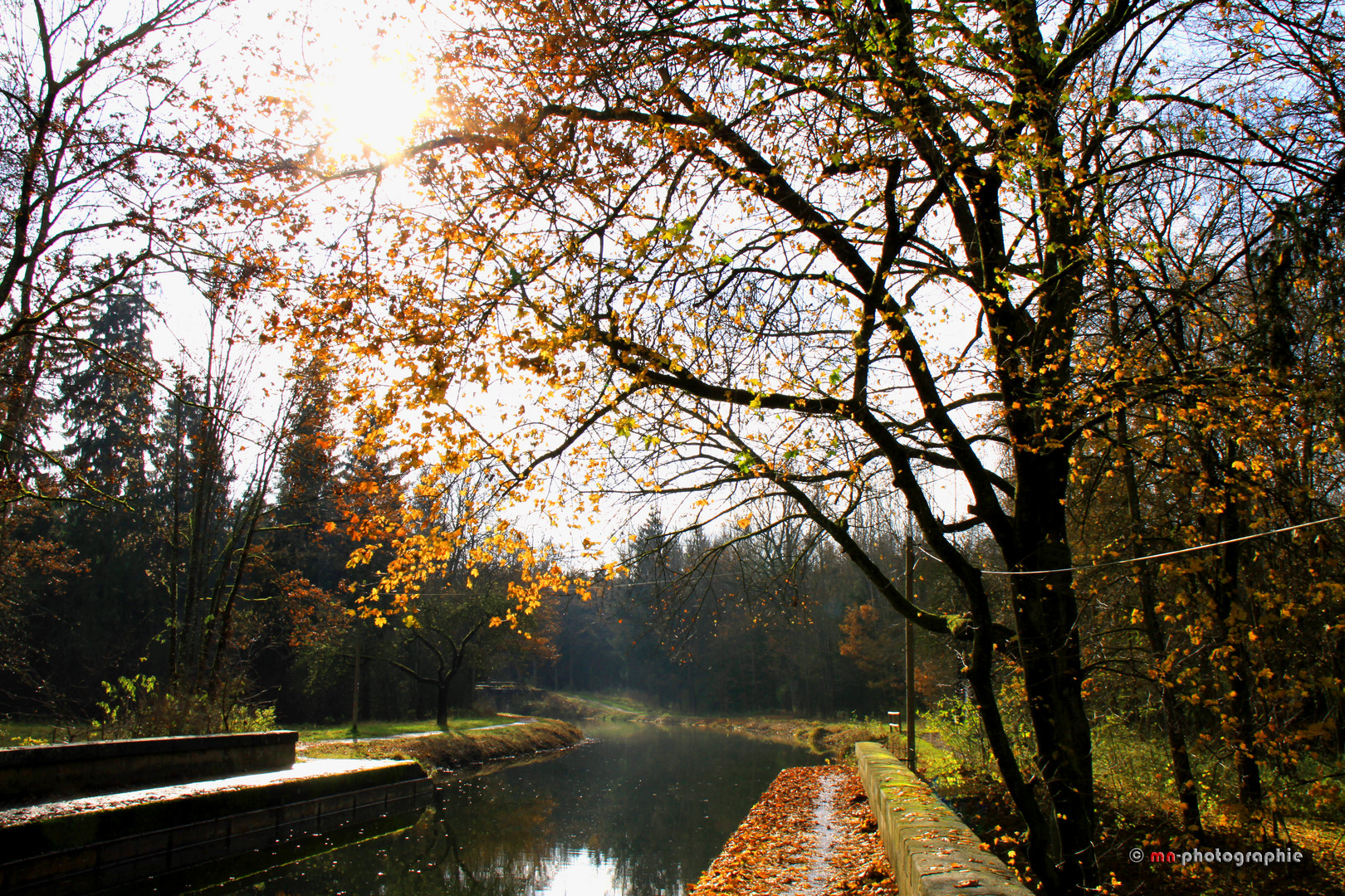 Herbstsonne am Ludwigskanal