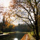 Herbstsonne am Ludwigskanal