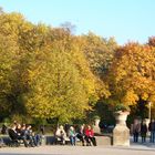 Herbstsonne am Nachmittag