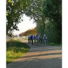 Herbstsonne am Oranjedijk