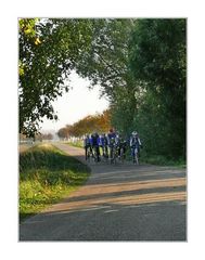 Herbstsonne am Oranjedijk