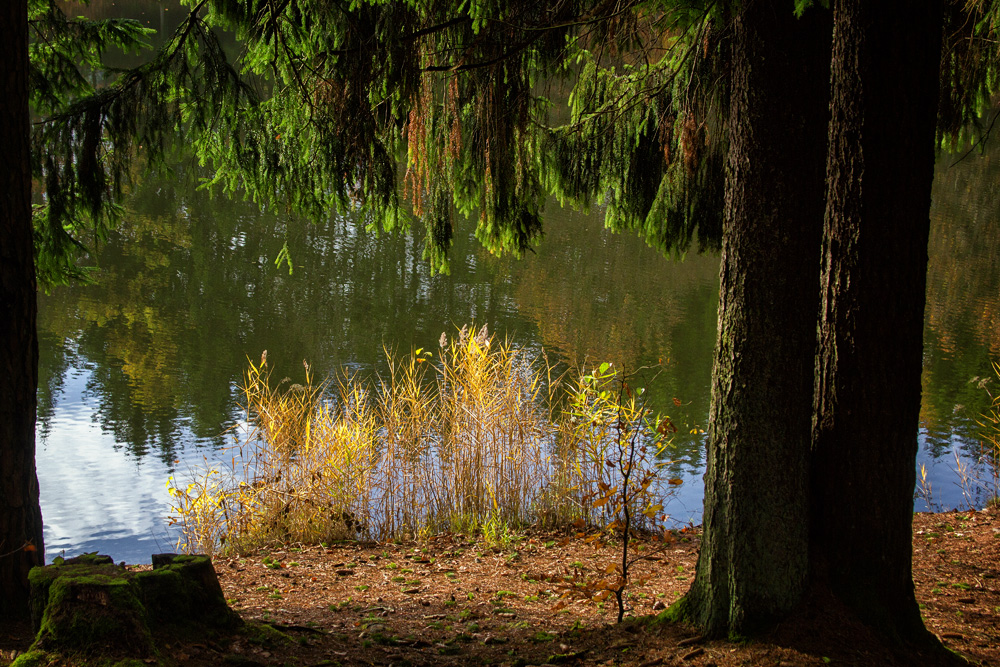 Herbstsonne am See