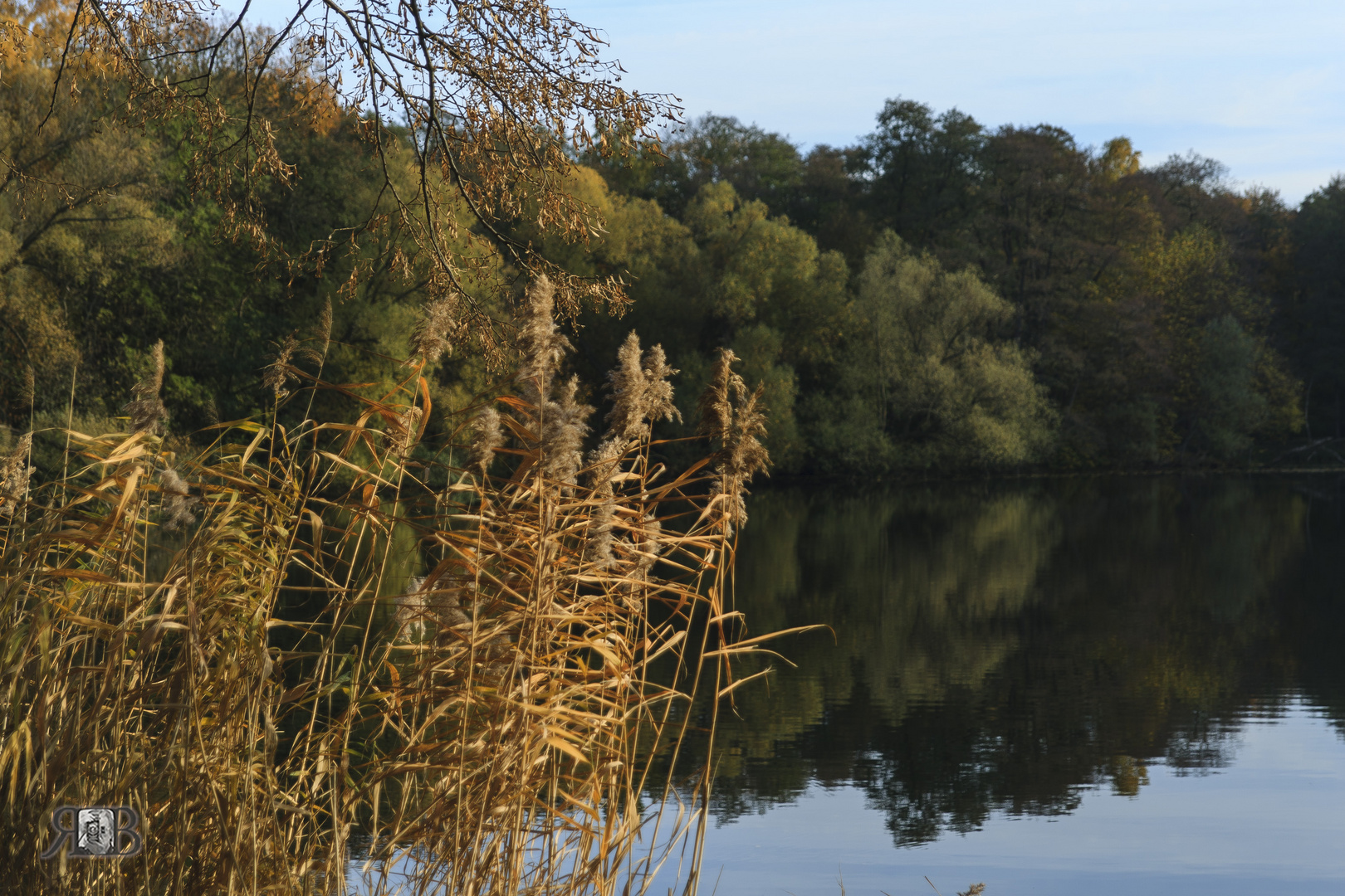 Herbstsonne am See