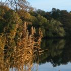 Herbstsonne am See