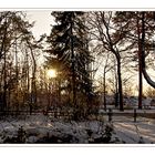 Herbstsonne am Spätnachmittag