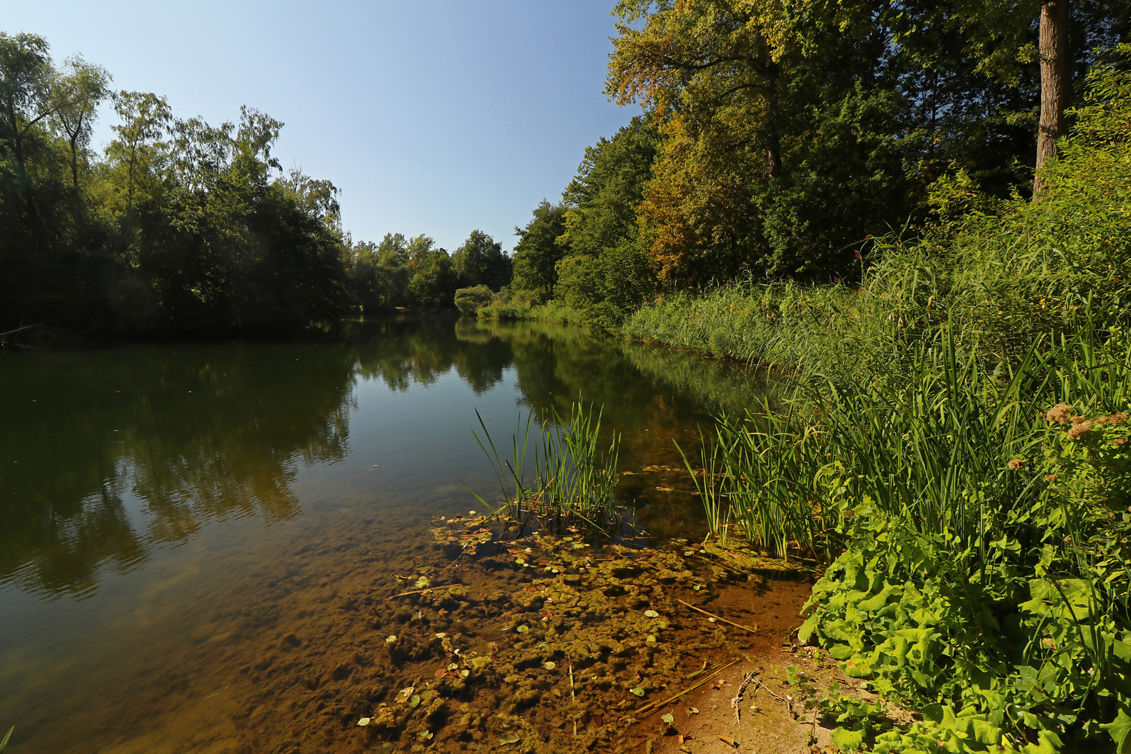 Herbstsonne am Teich