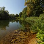 Herbstsonne am Teich