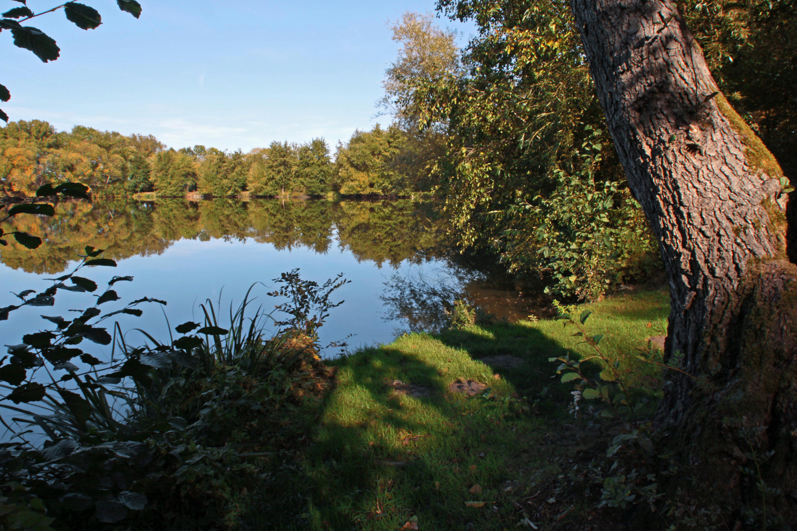 Herbstsonne am Ufer