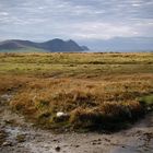 Herbstsonne am Waymont, Dingle Peninsula